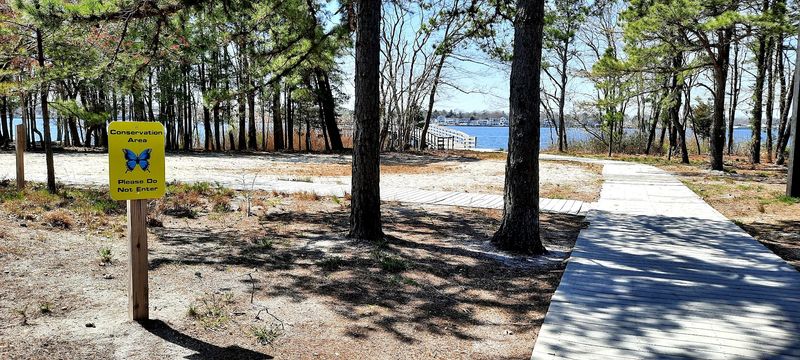 Picnic Tables, Open Fields, and Room to Spread Out