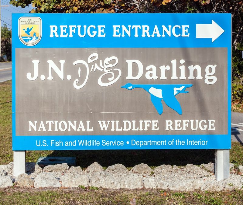 The Refuge Has A Creative Namesake