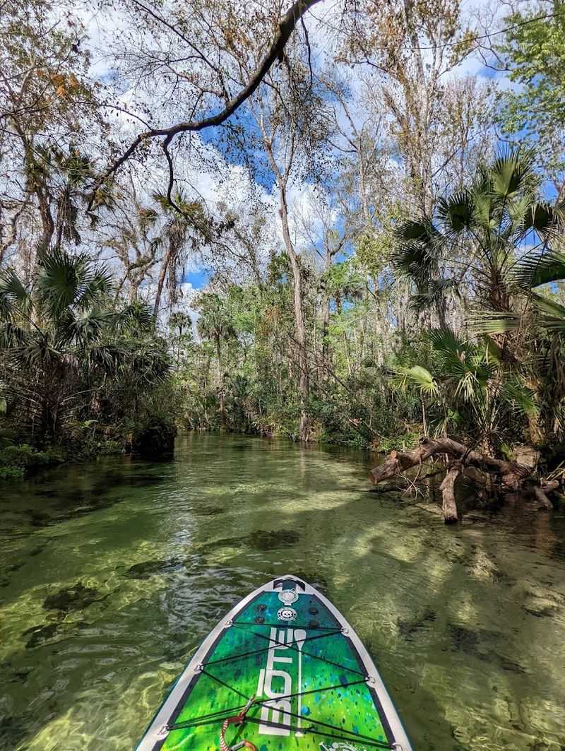 A Closing Thought: Why This Spring Stays With You