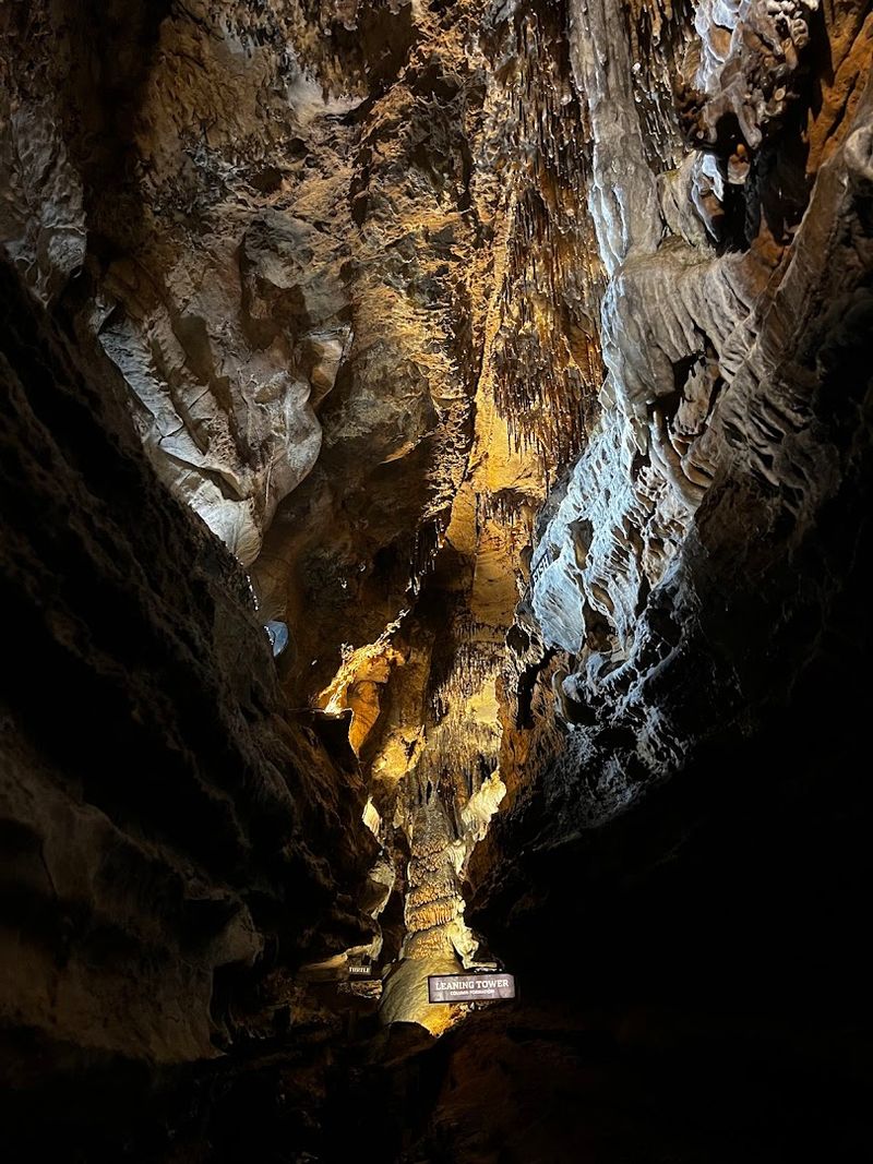 Practical Tips Before You Book Your Visit