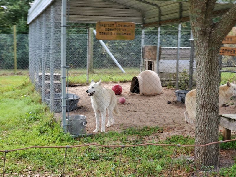 The Cleanliness and Care of the Enclosures