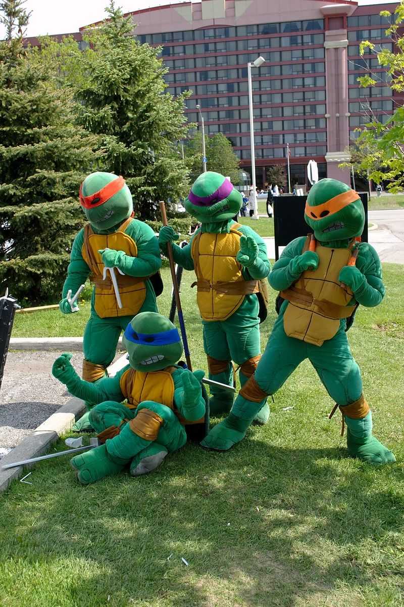 Teenage Mutant Ninja Turtles - Leonardo, Michelangelo, Donatello, Raphael