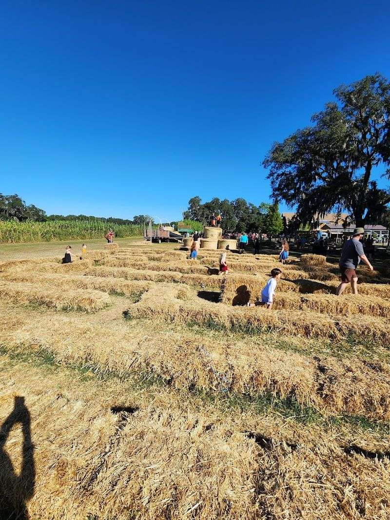 The Hayride That Ties the Whole Day Together