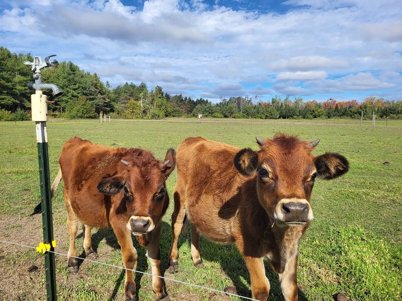 What a Farm Tour Here Actually Looks Like