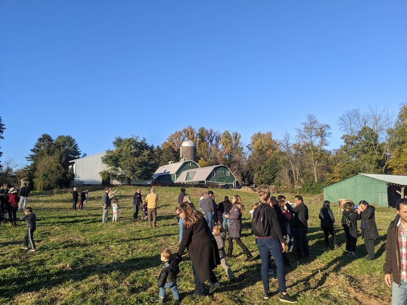 Special Events That Draw a Crowd From Across the Region