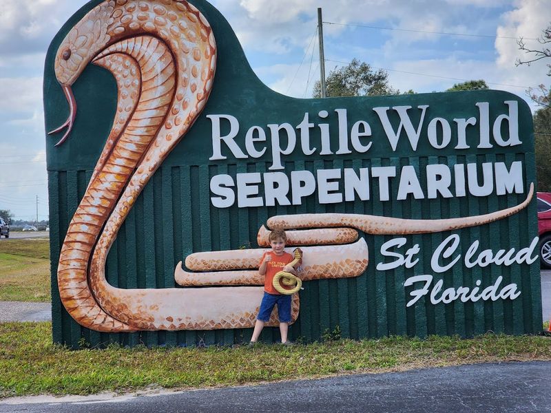 Holding a Snake: Hands-On Time With a California King