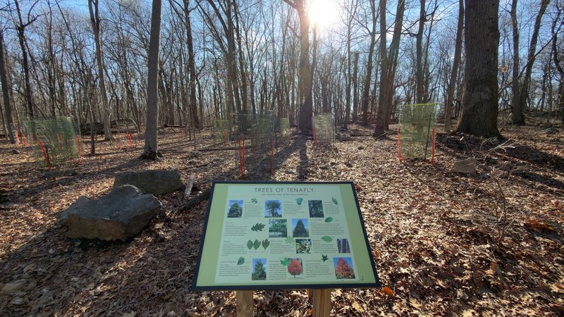 Planning Your Visit: What to Know Before You Go