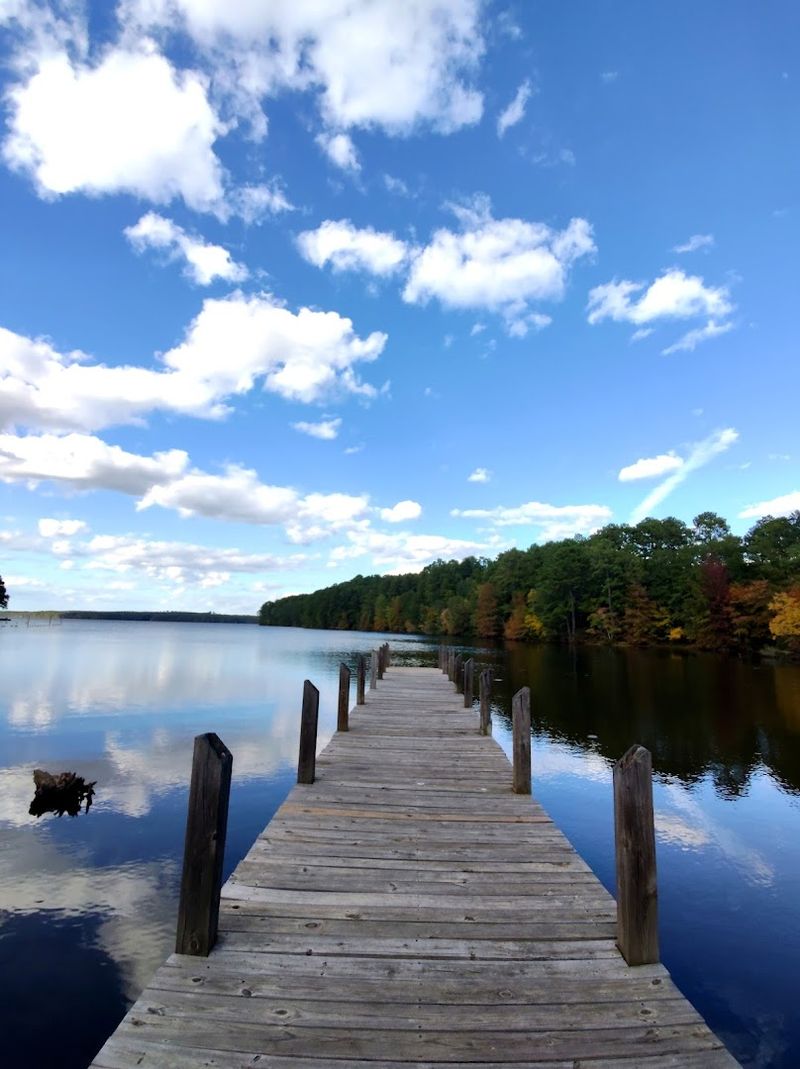 Where the Park Actually Is and How to Get There