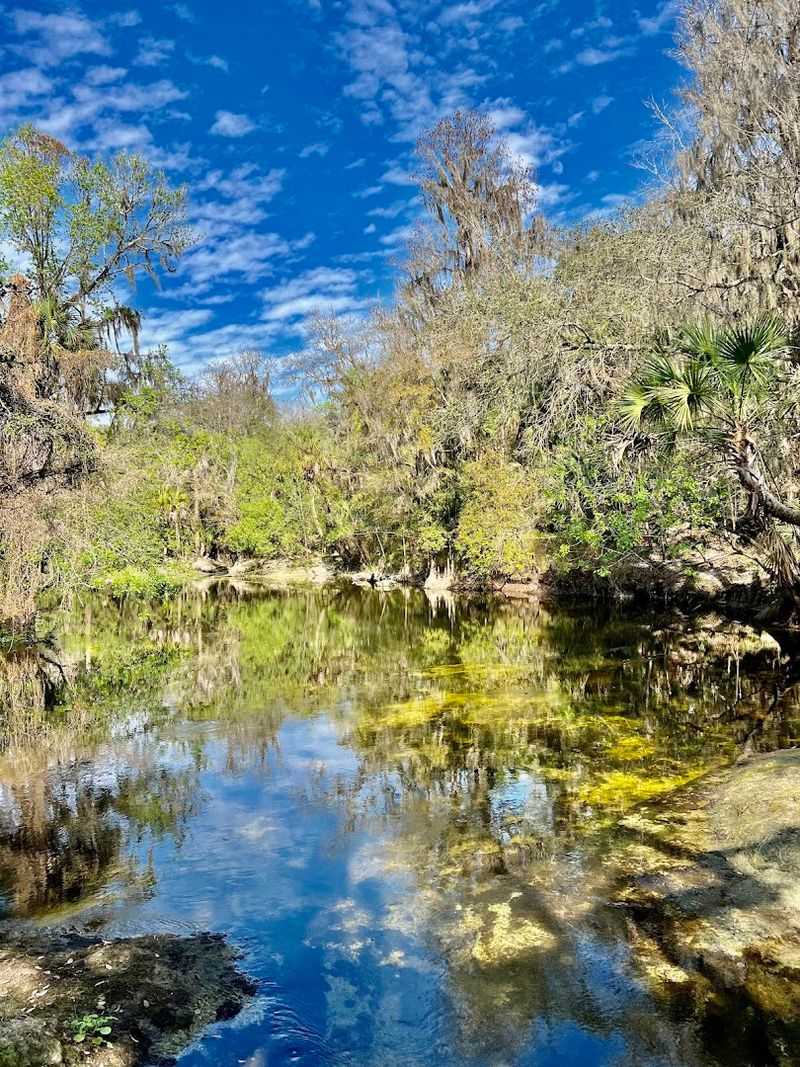 The Alafia River Corridor: A Natural Treasure Spanning Nearly 3,000 Acres