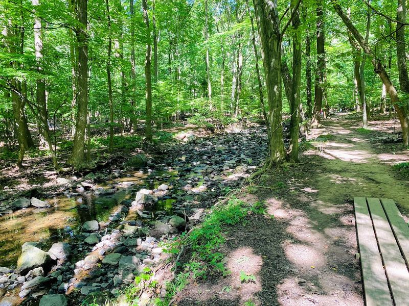 How This Preserve Came to Be