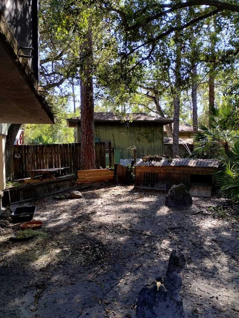 The Story Behind the Sanctuary