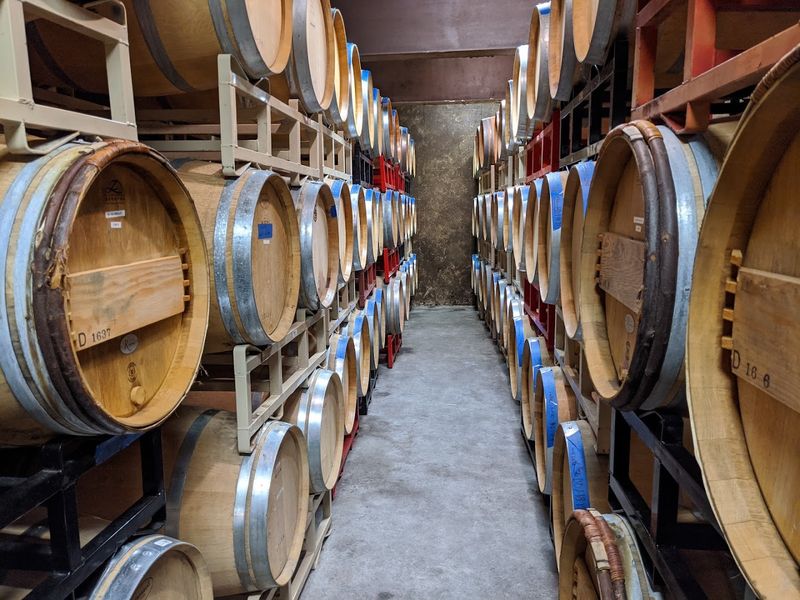 The Secret Below: A Real Wine Cave Beneath the Property