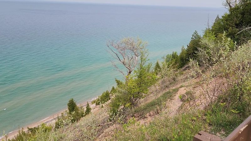 A Preserve With a Purpose: The Conservation Story Behind the Dunes