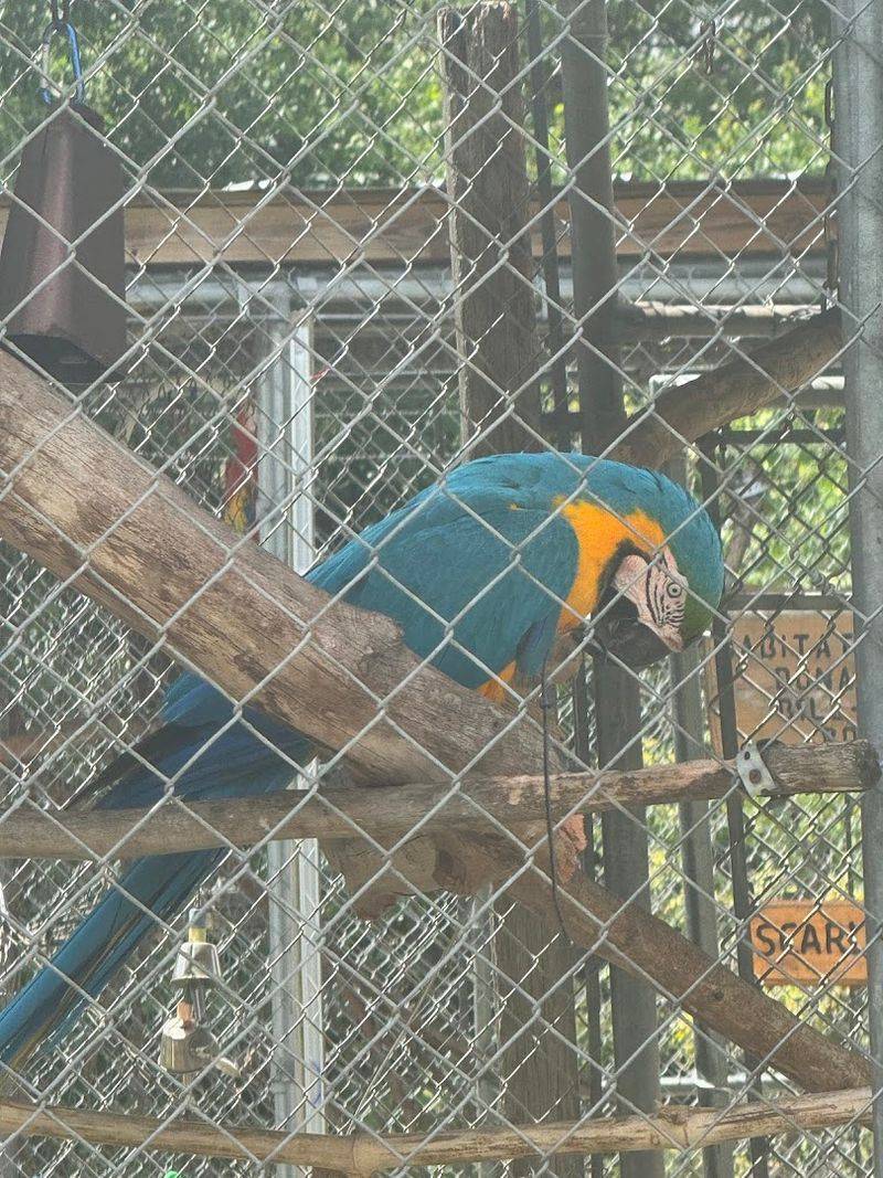 The Mission Behind the Gates