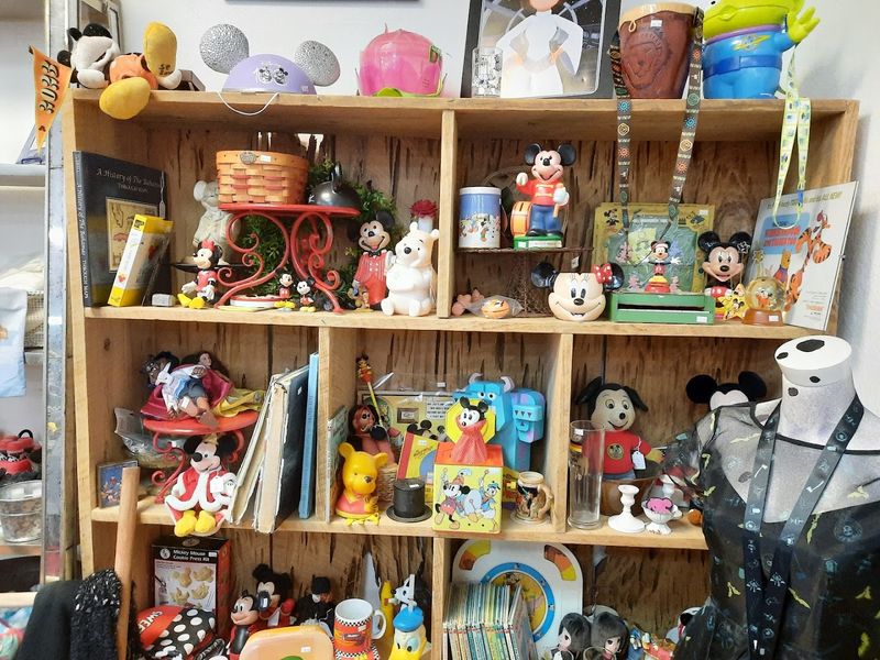 A Store Built Around Disney Surplus and Collectibles