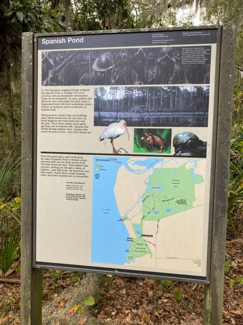 Operating Hours and Best Days to Visit