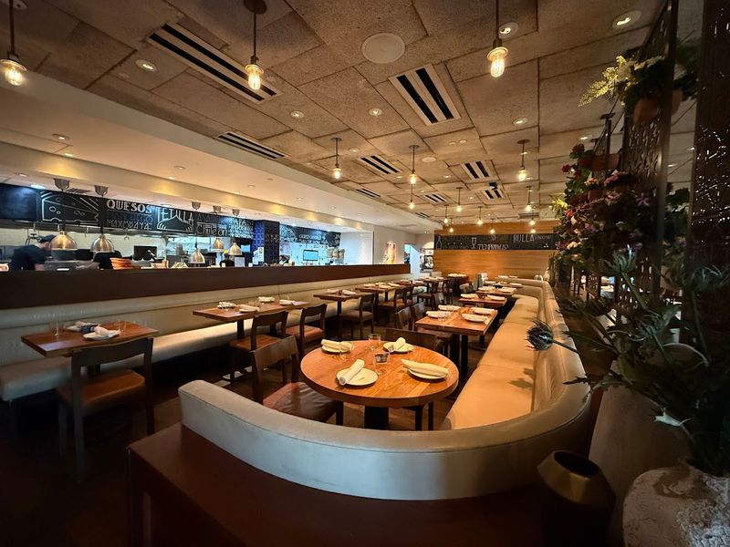 The Rooftop Bar Experience