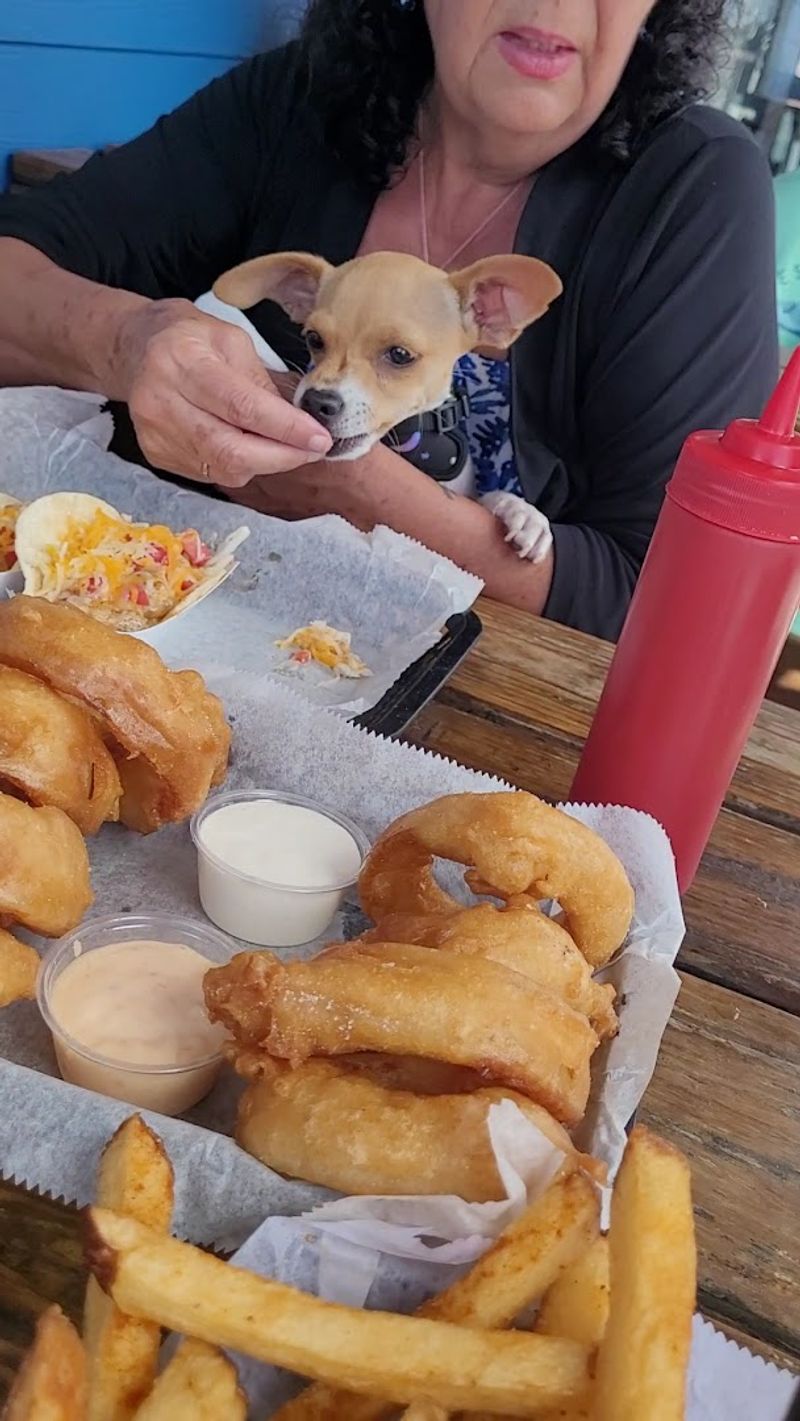 Appetizers and Starters That Deliver