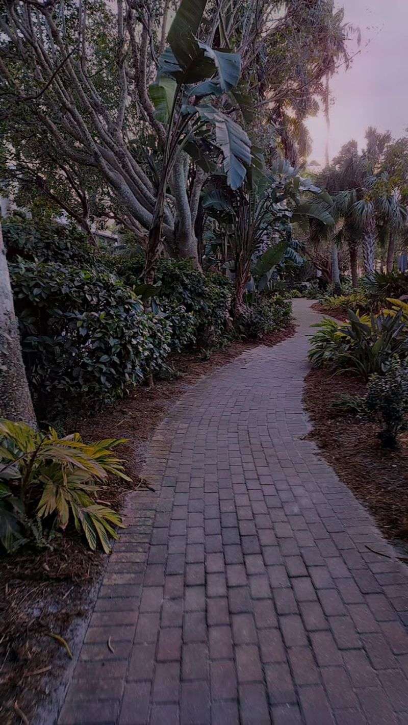 Biking Around the Island