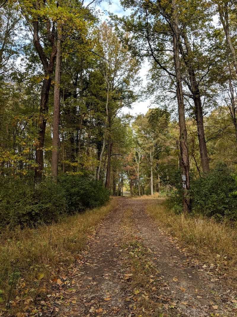 Trails Here Are Not What Most People Expect