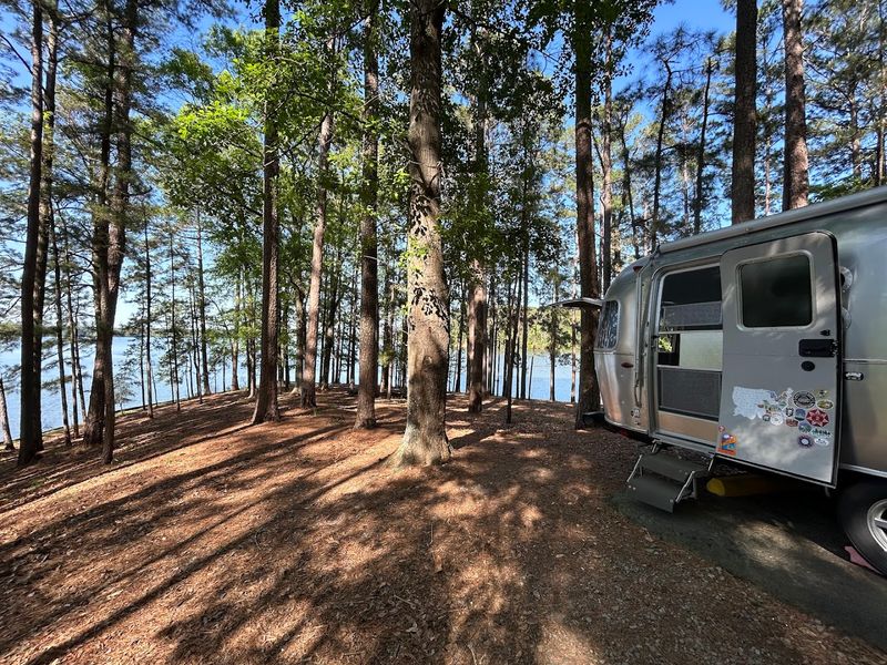 Tips for Planning Your Visit and What to Expect