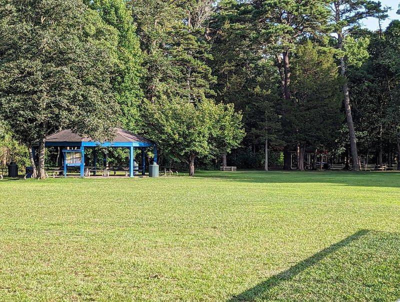 Playgrounds, Picnic Areas, and Family Gathering Spaces