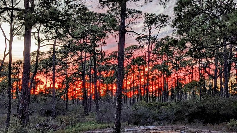 Stargazing: What Happens When You Remove Every Light Except the Sky