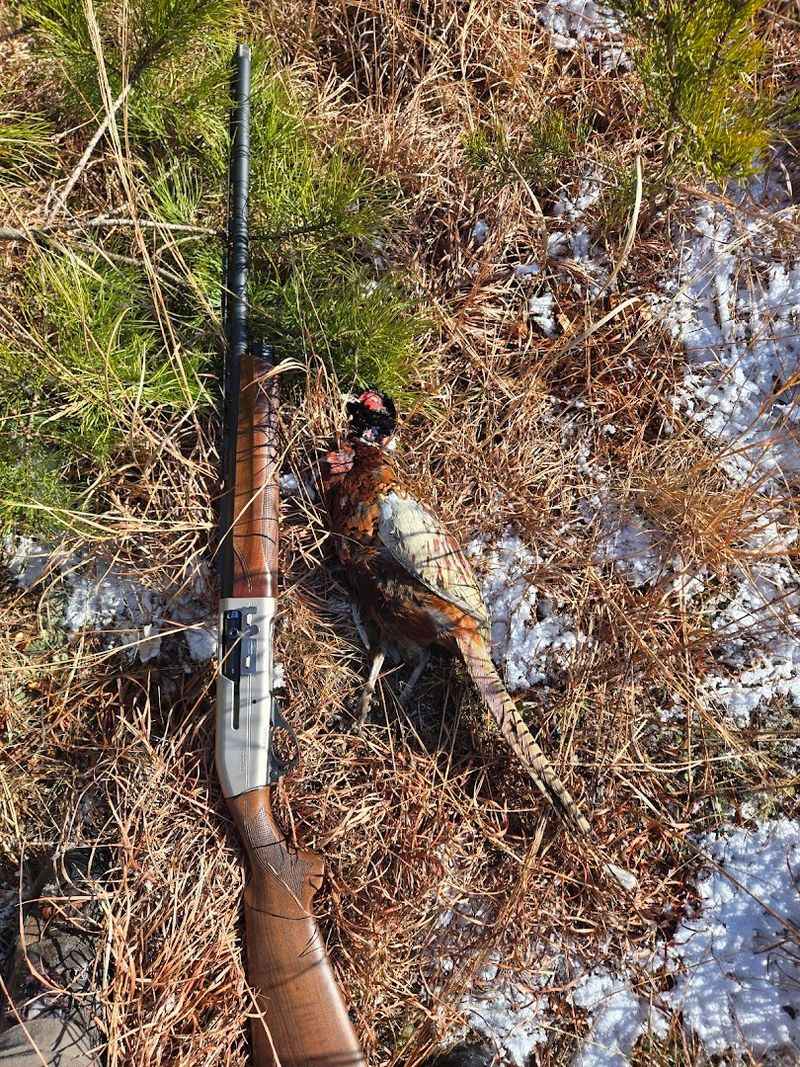 Hunting Seasons and What They Mean for Every Visitor