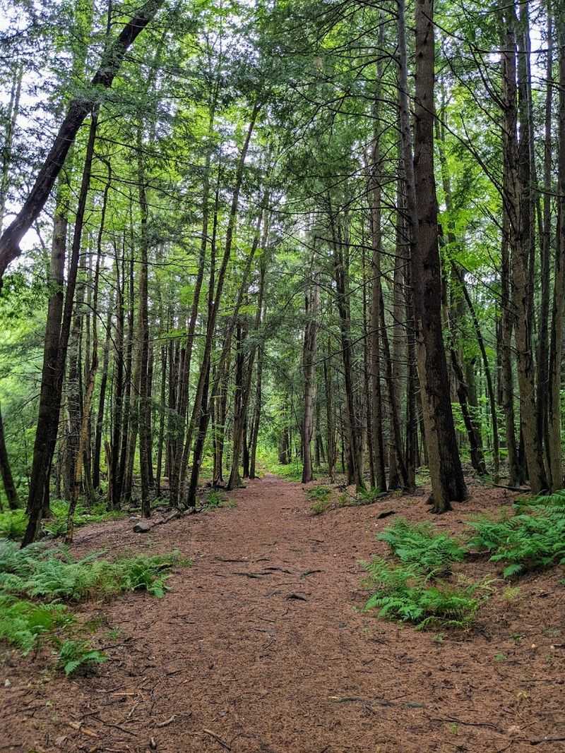 Hiking Trails That Suit Every Skill Level