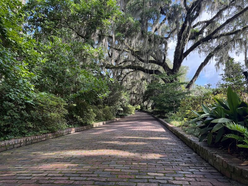 Photography Opportunities Throughout the Park