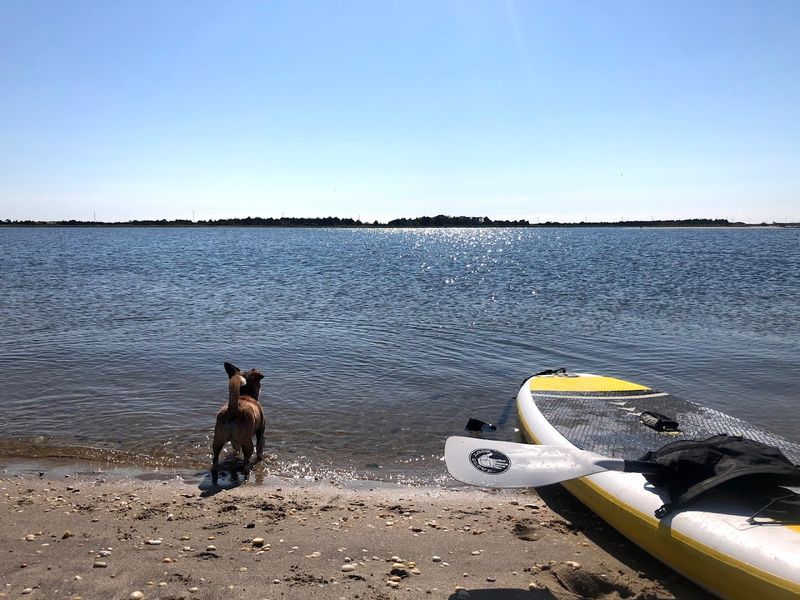Dog-Friendly Trails and Off-Season Beach Access