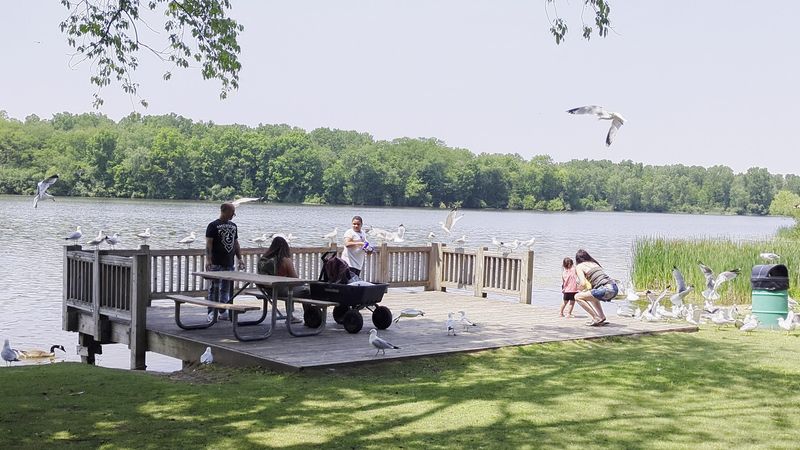 Picnicking, Grilling, and Spending the Day