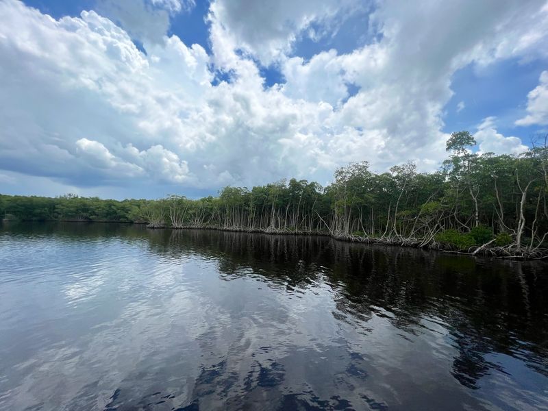 Birdwatching Opportunities at the Preserve