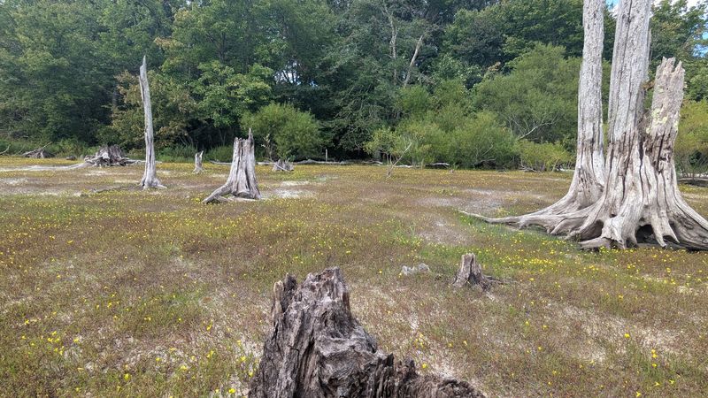 Biking the Loop: A Different Kind of Ride