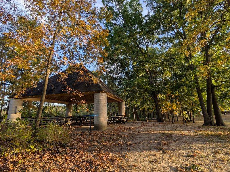 Picnic Areas, Pavilions, and Shaded Spots for Family Gatherings