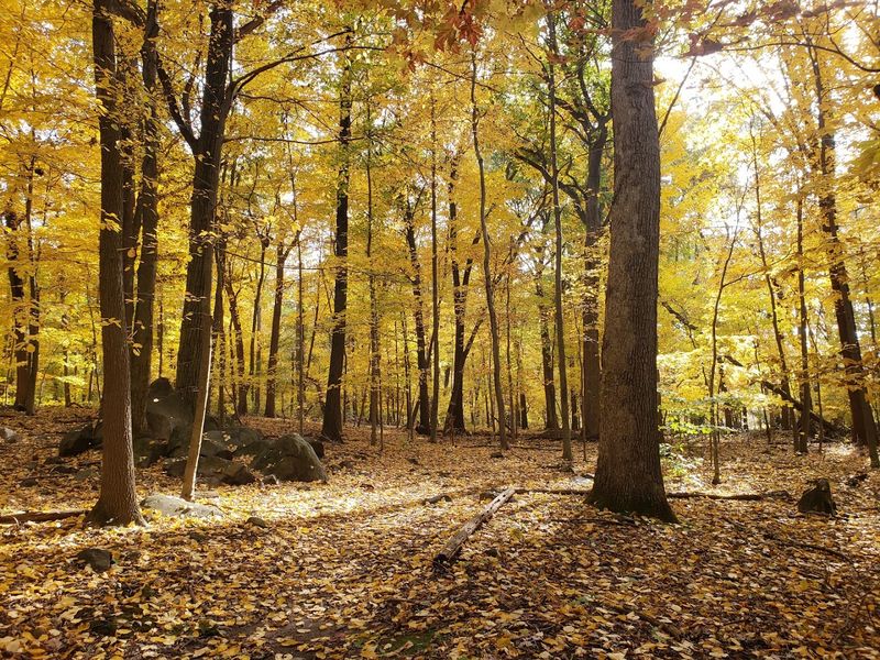 Tenafly Nature Center, Tenafly