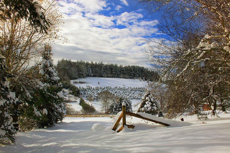 Ashe County, North Carolina