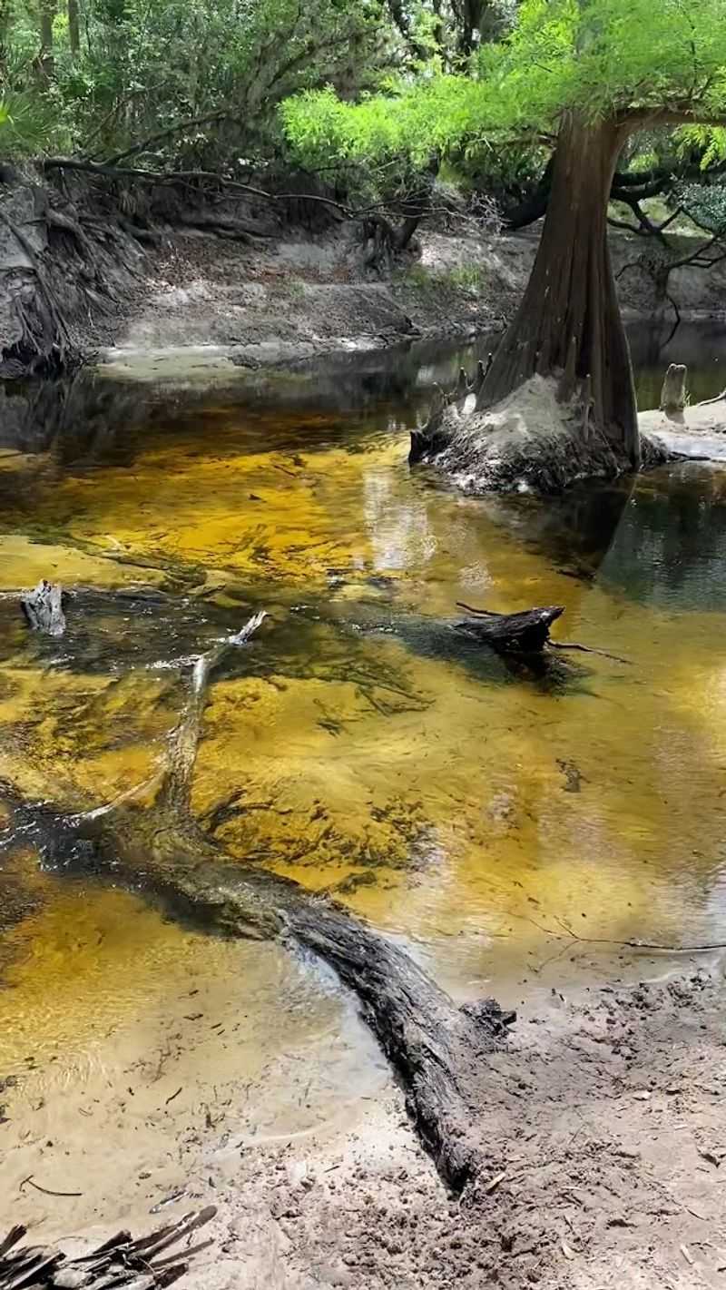 What Happens After Rain and How to Plan Around It