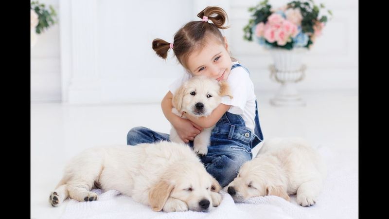 Customer Follow-Up That Goes the Extra Mile