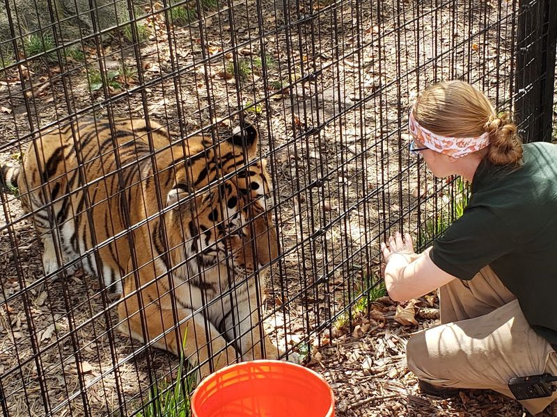 Tips for Getting the Most Out of Your Visit