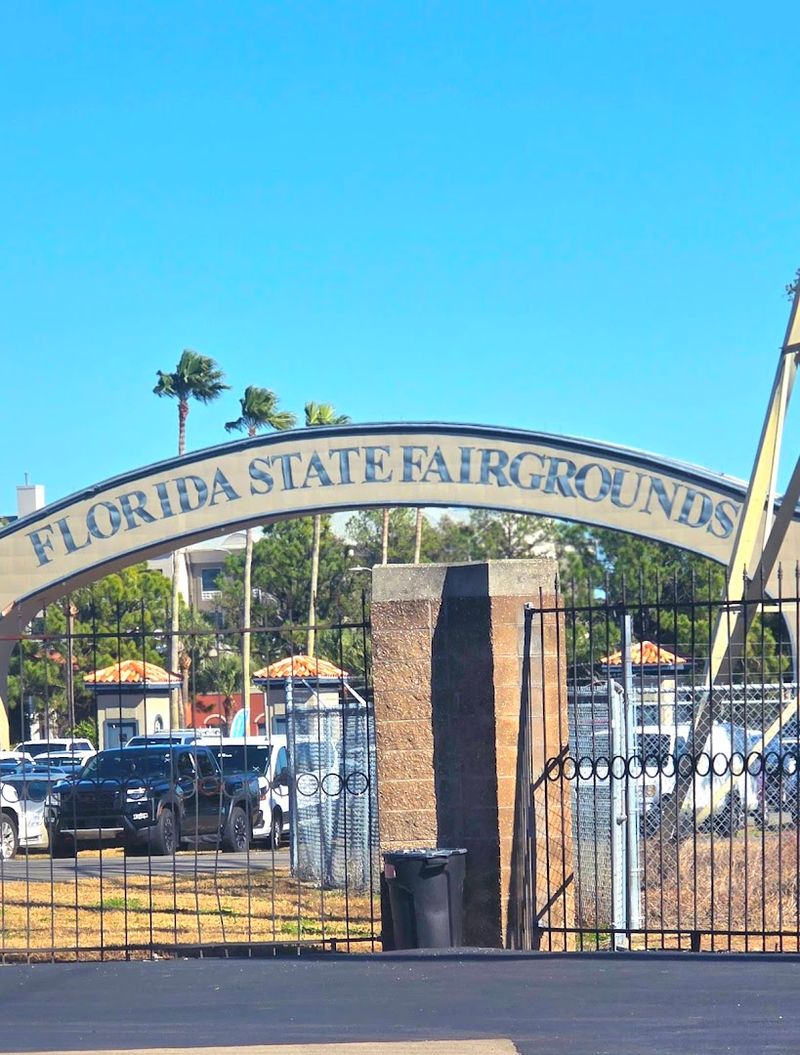 Rides for Every Thrill Level