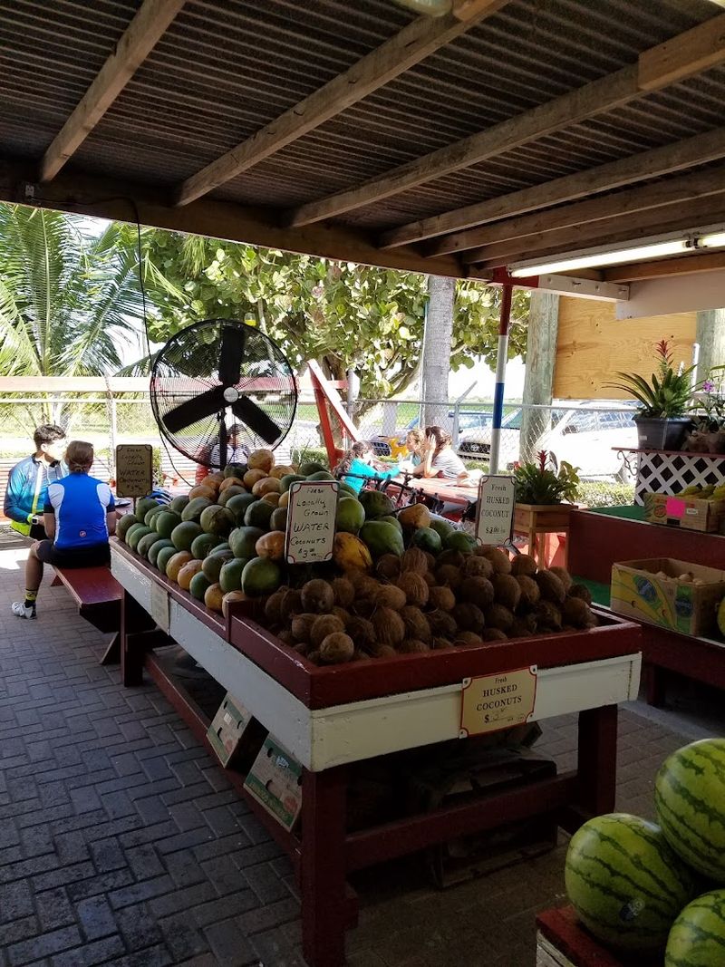 The Outdoor Seating and Relaxed Atmosphere