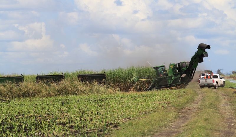 The Harvest Season Experience