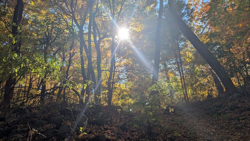 Autumn at the Mountain and Why Timing Matters