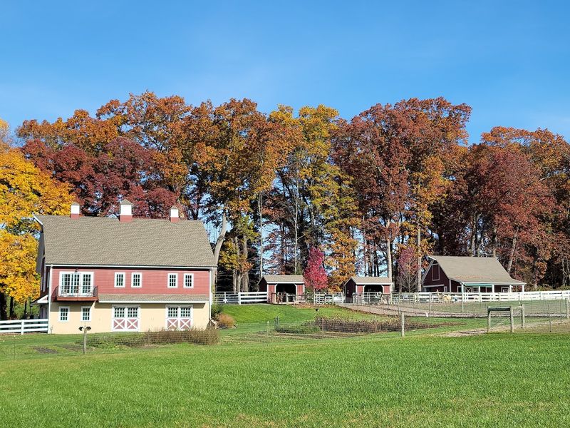 Where Exactly This Farm Sits and How to Find It