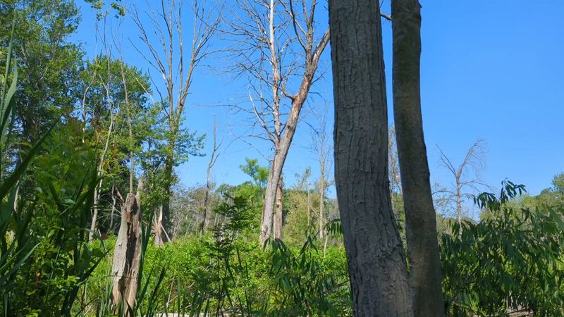 Practical Tips for Handling the Bugs