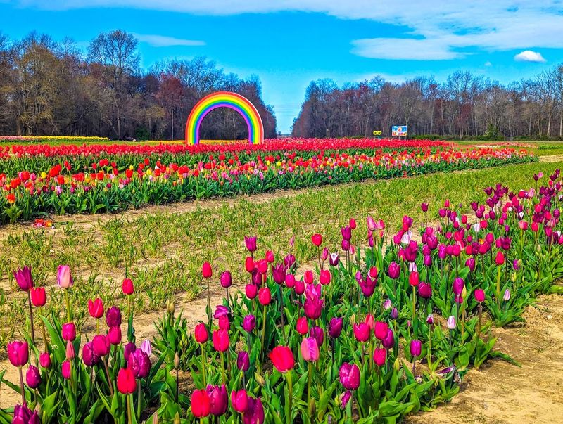 Dalton Farms in Swedesboro, New Jersey