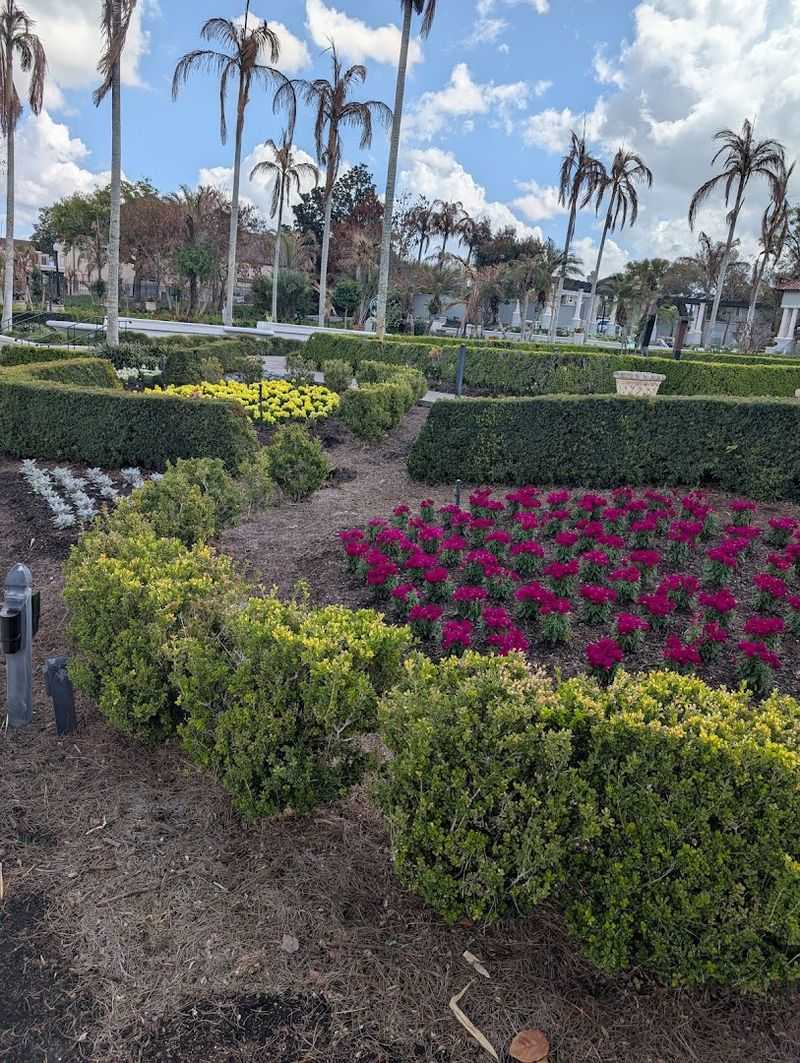 Seasonal Blooms: What to Expect Throughout the Year