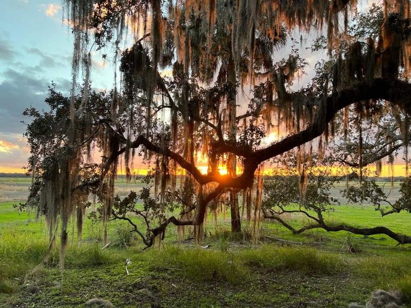 Florida is the flattest state in the U.S.