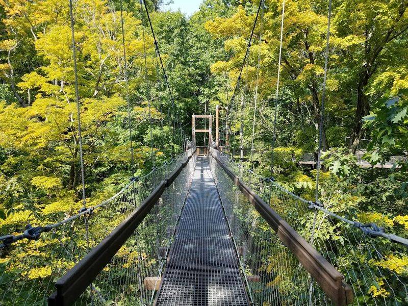 The Holden Arboretum